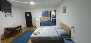 Η κουζίνα ή μικρή κουζίνα στο Apartmani Vučić