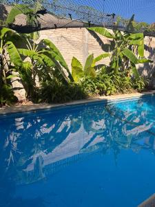 a blue swimming pool with plants and a fence at Posada de San Isidro in San Isidro