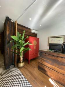 a living room with a potted plant and a tv at Tremo Bustamante in Santiago