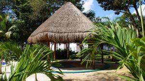 een hut met een rieten dak met enkele planten bij La Casa del Mexicano terraza y jardin exoticos 12 min del playa Esmeralda in Playa del Carmen