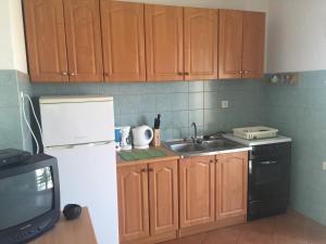 Kuchyň nebo kuchyňský kout v ubytování Apartments Anka