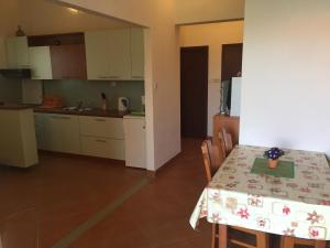 Kuchyň nebo kuchyňský kout v ubytování Apartments Anka
