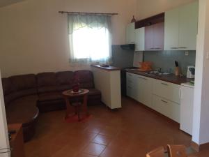 Kuchyň nebo kuchyňský kout v ubytování Apartments Anka