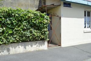 a large green bush next to a white building at Maisonnette avec petite cour in Bordeaux