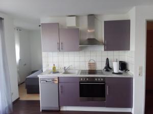 Kuchyň nebo kuchyňský kout v ubytování Apartment Metzingen City