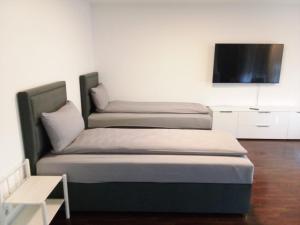 TV a/nebo společenská místnost v ubytování Apartment Metzingen City