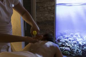 Hosté ubytování Meiser SPA Resort