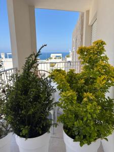 Balkón nebo terasa v ubytování Petra Paura B&B by ROOMS SRLS + 29 fotografií