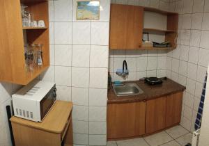 a small kitchen with a sink and a microwave at DW FALA in Rewal