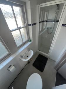 a bathroom with a toilet and a shower and a sink at Hampton Hotel in Llandrindod Wells +44 photos