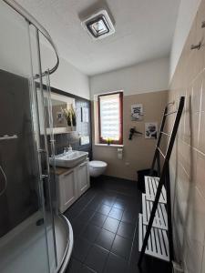 a bathroom with a shower and a sink and a toilet at Happy Place am Plauer See in Zislow