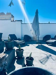 un gruppo di piante in vaso e un ombrellone su un patio di Domus Olea & Opuntia Salento a Galatone
