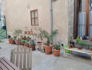 L'ancienne écurie, near Carcassonne, private and charming accomodation Corporate bookings accepted外面的花园