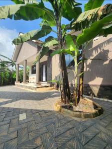 Fotografie z fotogalerie ubytování Beverly homes v destinaci Kitubulu + 9 fotografií