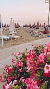 Zahrada ubytování Hotel Miriam