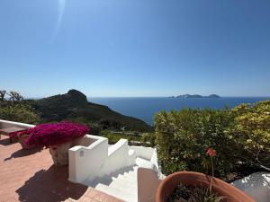 Photo de la galerie de l'établissement Guest House Villa Il Gabbiano, à Ponza