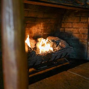 a fire oven with a cat laying on a bed at Grande Butte Lodge - by The Chalets in Laurelville