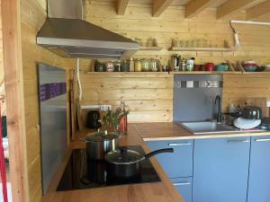 a kitchen with two pots on a stove in a kitchen at Cabane de Mardil in Aubazines