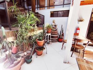 Φωτογραφία από το άλμπουμ του Hotel Cano στο Ικίκε