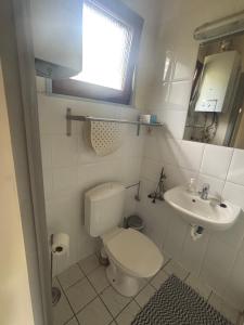 a small bathroom with a toilet and a sink at Mooie bungalow in de prachtige natuur in Hastière-par-delà +17 photos