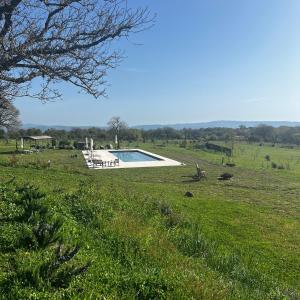 Bazén v ubytování Podere l'Alfina B&B - Bio Agriturismo nebo v jeho okolí