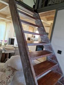 a ladder to a bunk bed in a room at Amsterdam Millgreen Den Ilp 198 in Den Ilp