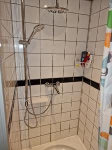 a bathroom with a shower with a toilet at Amsterdam Millgreen Den Ilp 198 in Den Ilp +11 photos