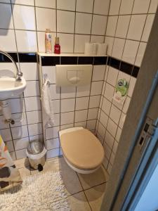 a small bathroom with a toilet and a sink at Amsterdam Millgreen Den Ilp 198 in Den Ilp
