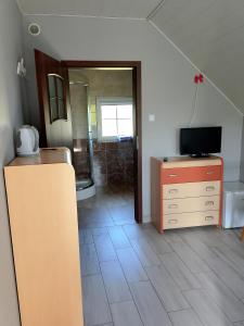 Μια τηλεόραση ή/και κέντρο ψυχαγωγίας στο Domek całoroczny 8 os, pokoje nad stawem