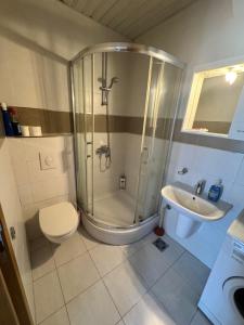 ein Badezimmer mit Dusche, Toilette und Waschbecken in der Unterkunft City Apartment in Podgorica + 5 Fotos