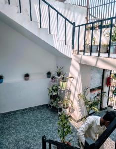 AyodhyaNirvana inn , near ram mandir的坐在长凳上,植物堆积的房间的人