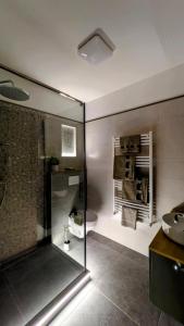 een badkamer met een glazen douche en een wastafel bij Balance Apartman Debrecen in Debrecen