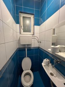 Bany a Amazon Hostel Podgorica