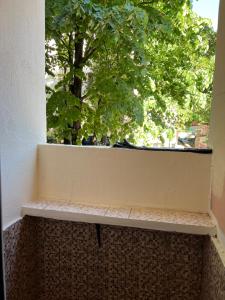 Foto de la galeria de Amazon Hostel Podgorica a Podgorica