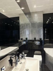 トルンにあるApartament Chełmionkaの洗面台、トイレ、鏡のあるバスルーム