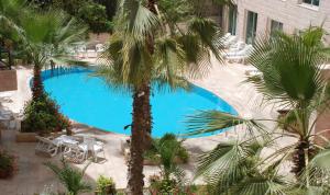 Piscina de la sau aproape de Petra Palace Hotel