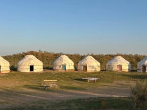 a group of domes in a field with a bench at Khansar Family Yurt Camp in Elʼtay