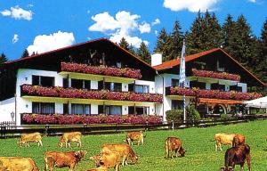 a herd of cows grazing in a field in front of a building at Farchanter Alm in Farchant