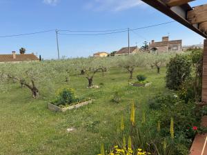 Un jardín con árboles y plantas en un campo. en Masia en el Delta del Ebro, en L'Aldea