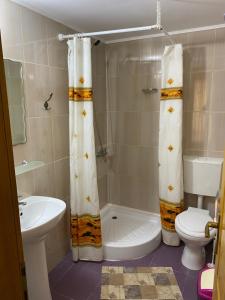 a bathroom with a toilet and a shower curtain at Salcia Pletoasa in Mahmudia +30 photos