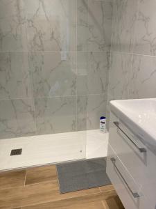 a bathroom with a shower and a sink at T4 rénové vue montagne hyper centre 3 chambres climatisation in Grenoble