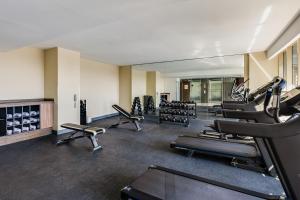 Fitness centrum a/nebo fitness zařízení v ubytování Gamma Toluca