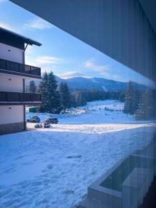 ポイアナ・ブラショフにあるCozy Retreat Grand Chalet Aparthotelの建物から雪に覆われた庭を望む