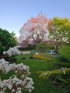 a park with flowering trees and cars in the background at Dans colombier proche de Vichy parking privé in Vichy +4 photos