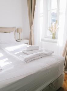 Postel nebo postele na pokoji v ubytování Central Riverside Apartments Meščanka