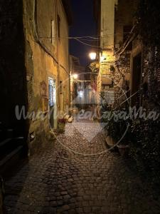 Okolí apartmánu