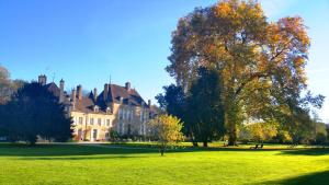 una casa grande en un campo con árboles en primer plano en Château de Vault de Lugny en Vault-de-Lugny