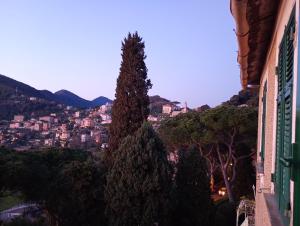 a view of a city with a tree in the foreground at Golfo Paradiso in Camogli
