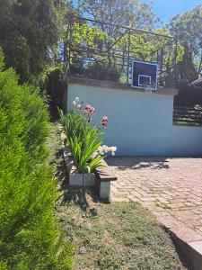 Giardino di Vila Teja