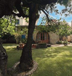 een boom in de tuin van een huis bij Beit Tout Guesthouse in Saïda